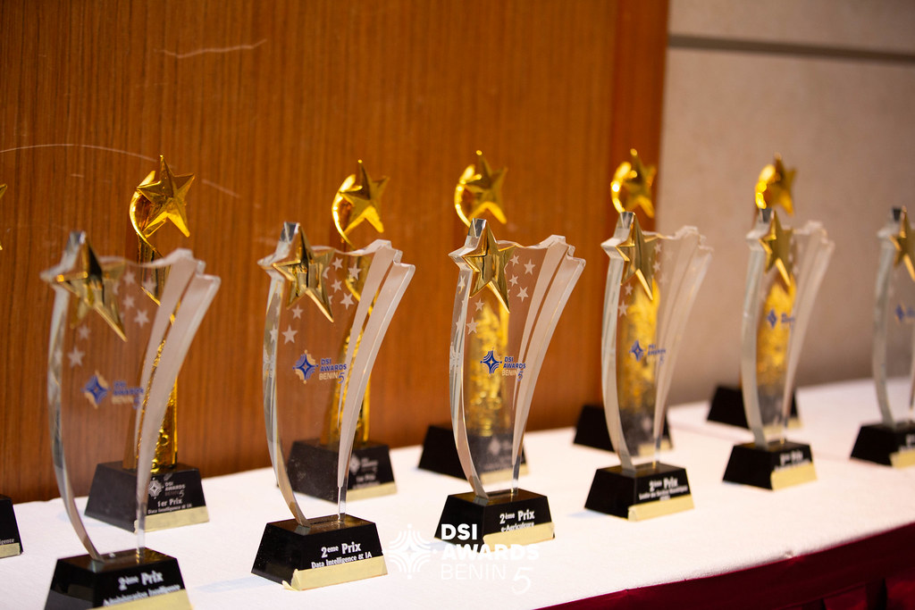DSI Awards Categories