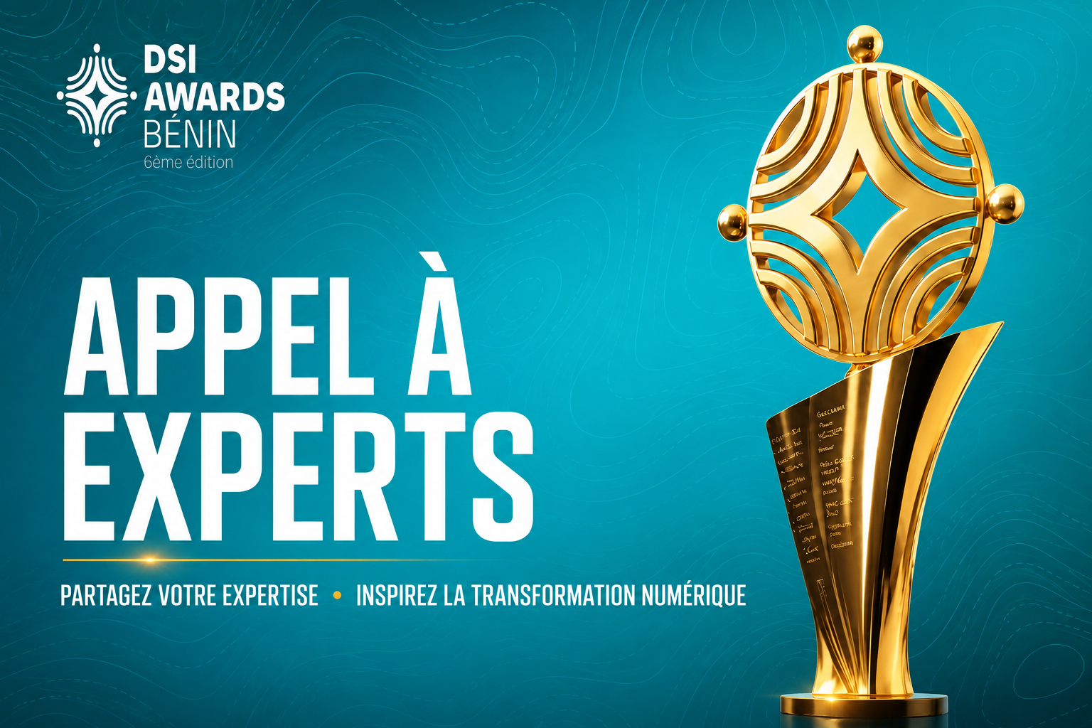 Appel à Experts - DSI Awards 2026